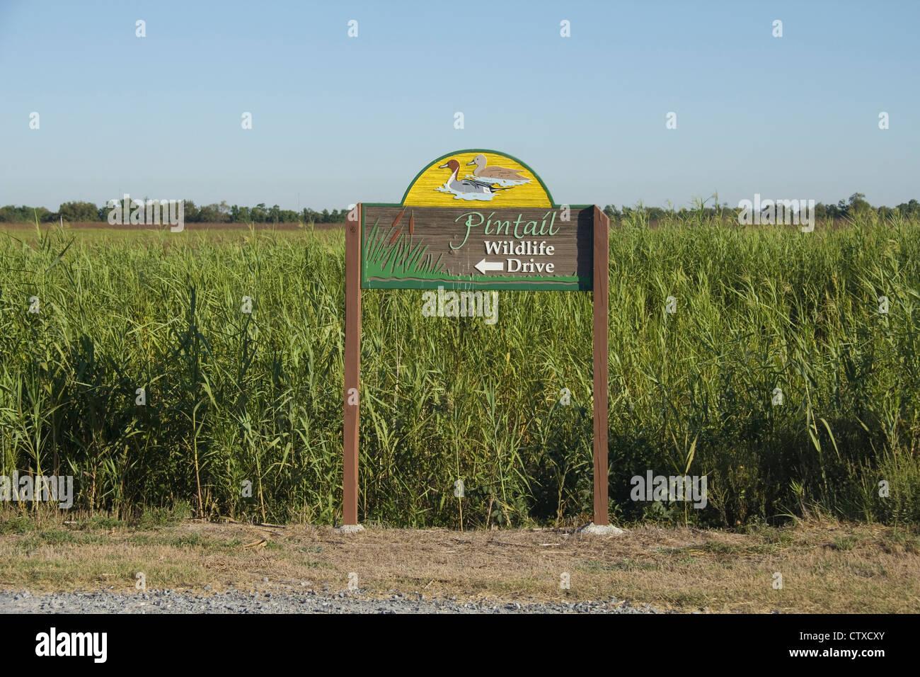 Pintail Wildlife Drive, south of Lake Charles, LA, USA Stock Photo Alamy