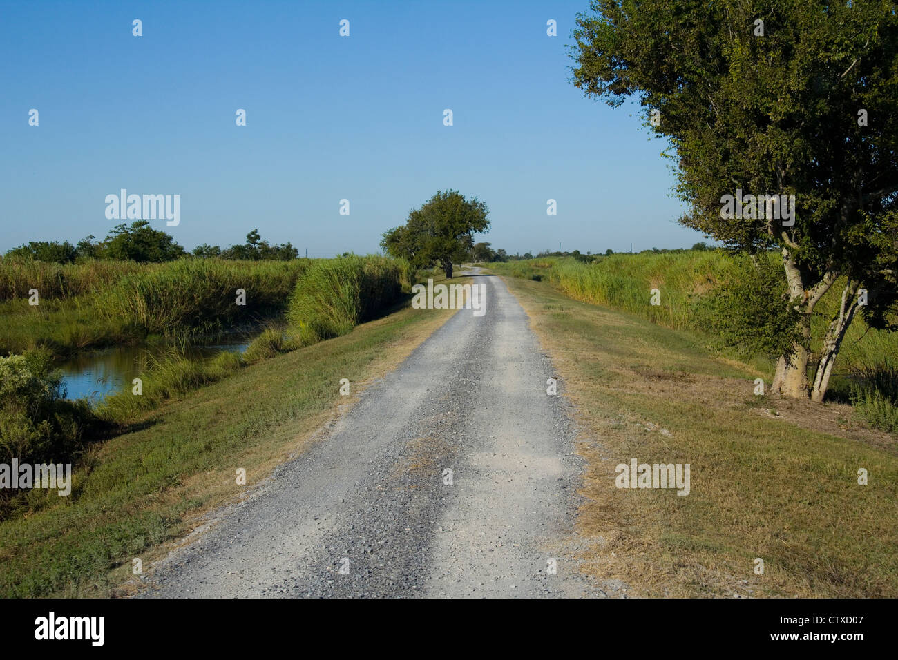 Pintail Wildlife Drive, south of Lake Charles, LA, USA Stock Photo Alamy