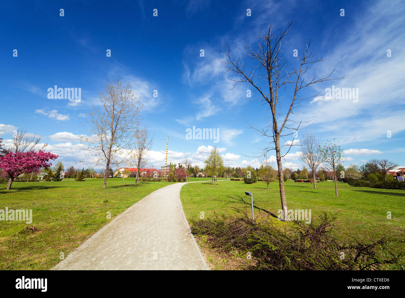Beautiful spring landscape in the city park Stock Photo - Alamy