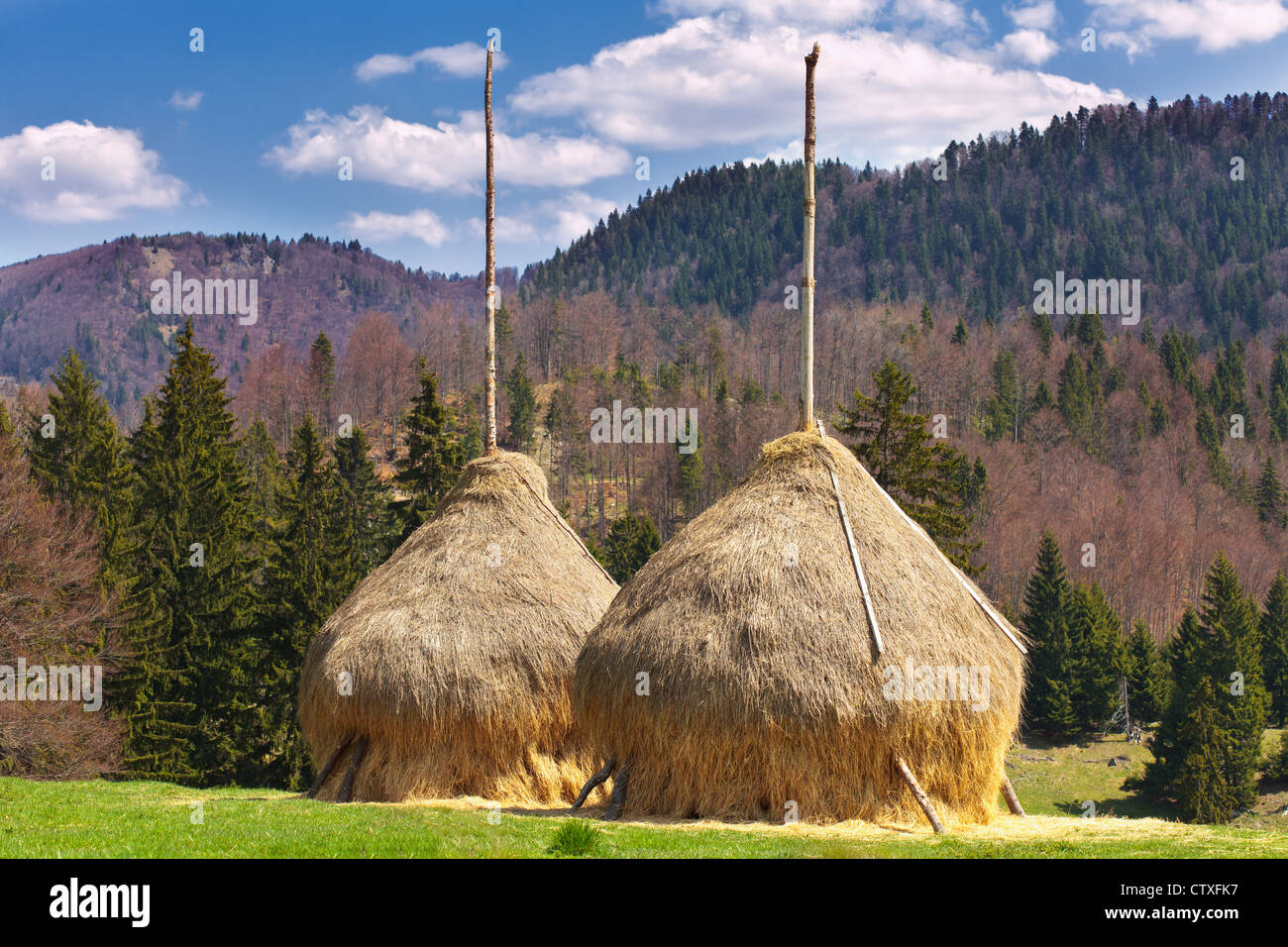 Hay ricks hires stock photography and images Alamy