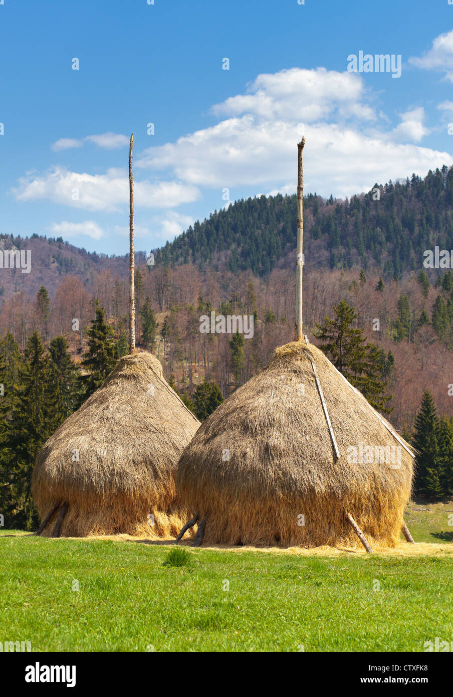 Two hay ricks in the countryside with mountains in background Stock Photo