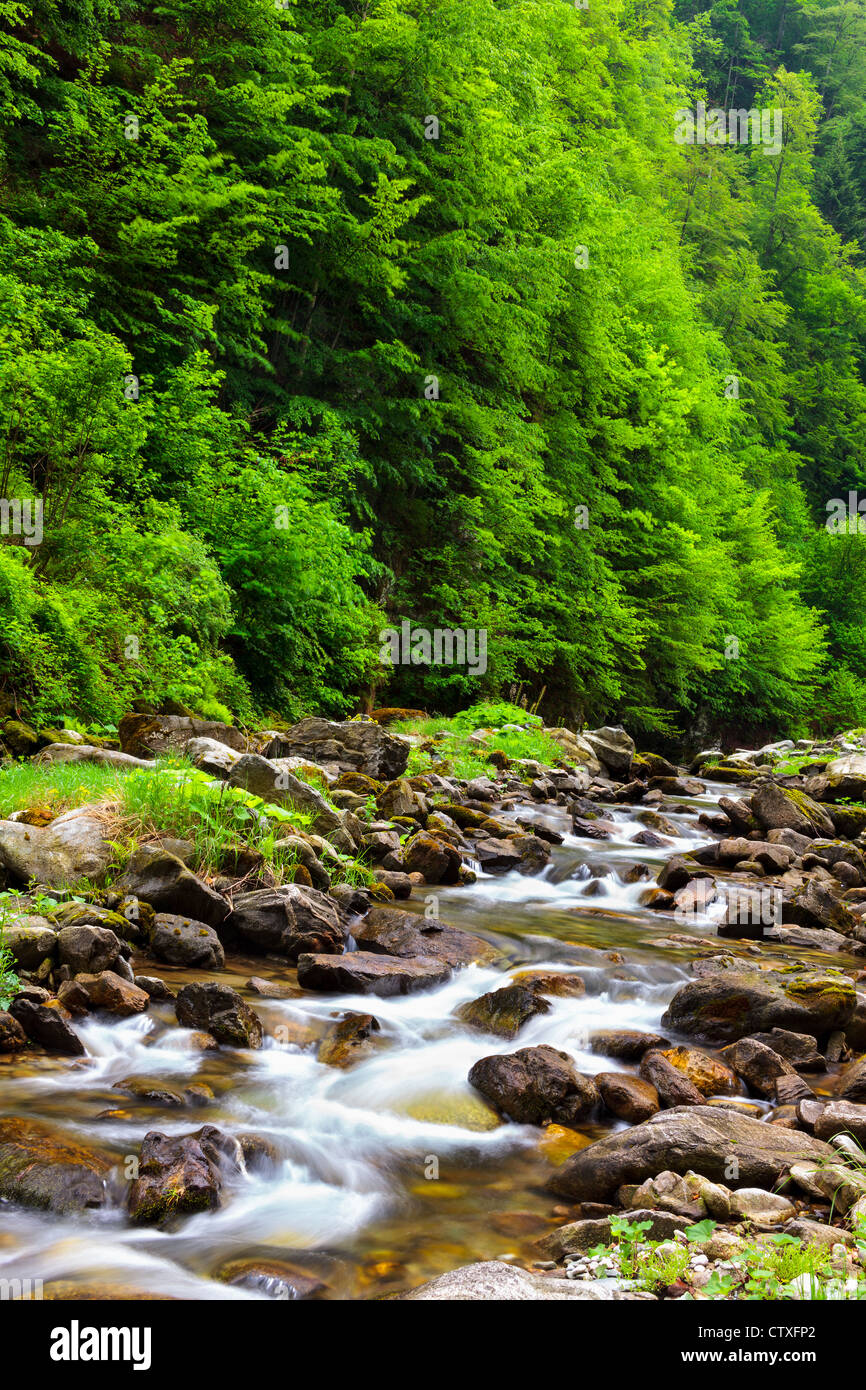 Landscape with river flowing through rocks Stock Photo - Alamy
