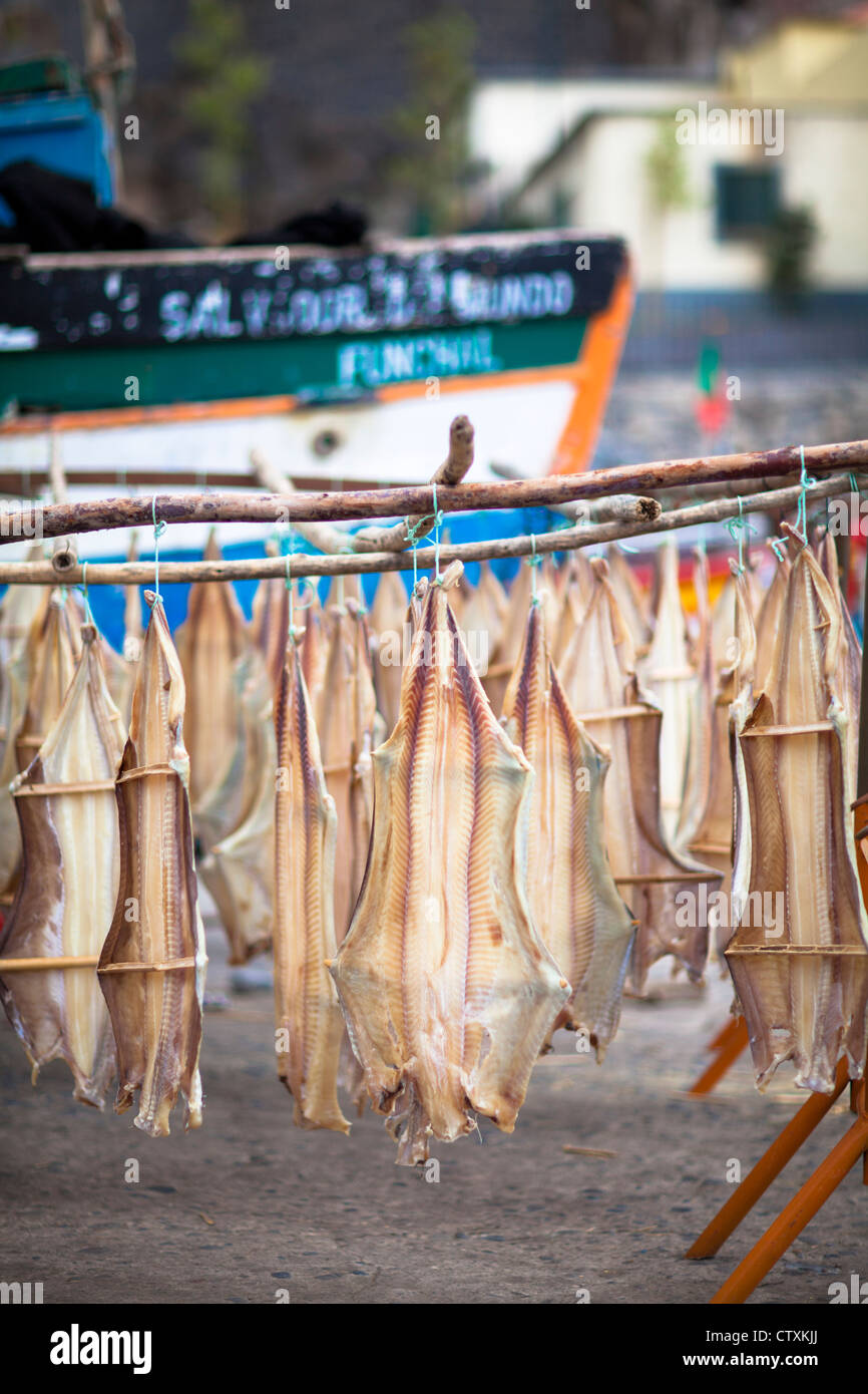 Cod Fish drying Camara De Lobos Harbour village Madeira Portugal Stock Photo