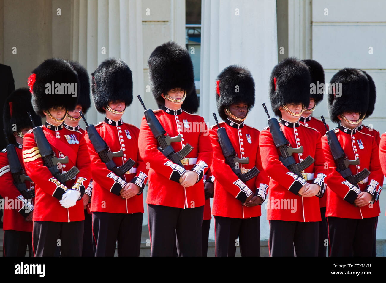 Coldstream guards Stock Photo
