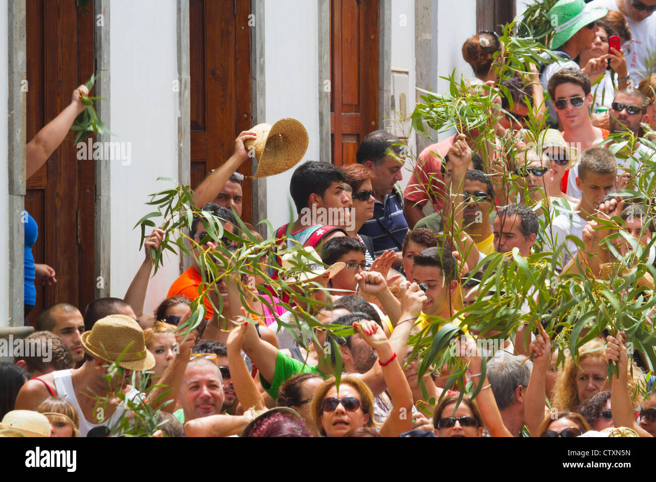 Photos from the Bajada de La Rama festival in Agaete and Puerto de las ...