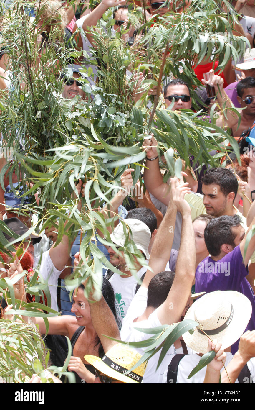 Photos from the Bajada de La Rama festival in Agaete and Puerto de las ...