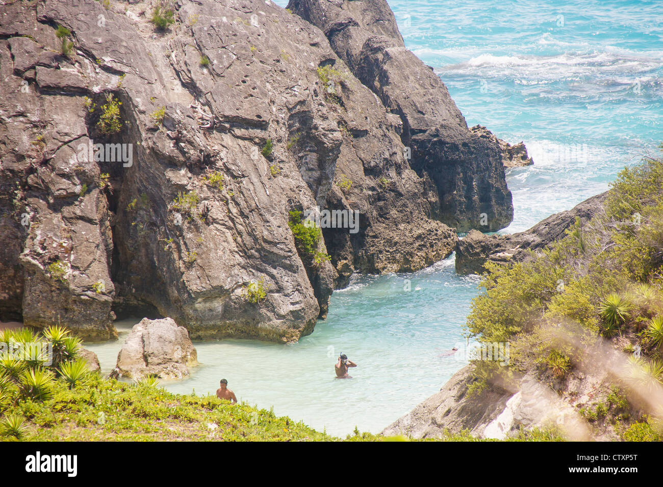 Two men snorkeling off the rocky coast of Bermuda Stock Photo