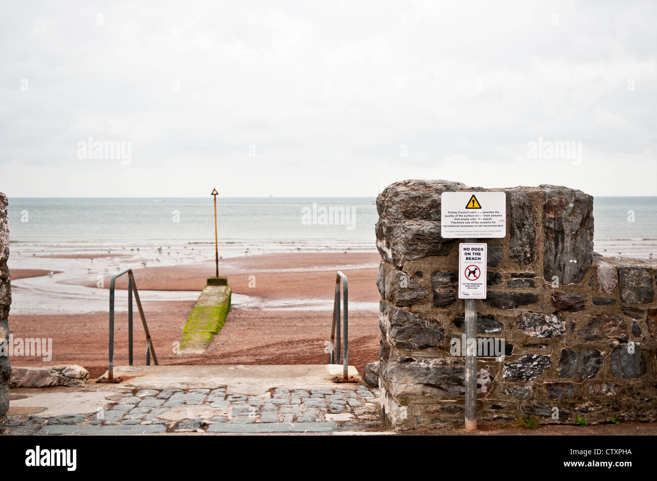 Paignton beach at low tide Stock Photo Alamy