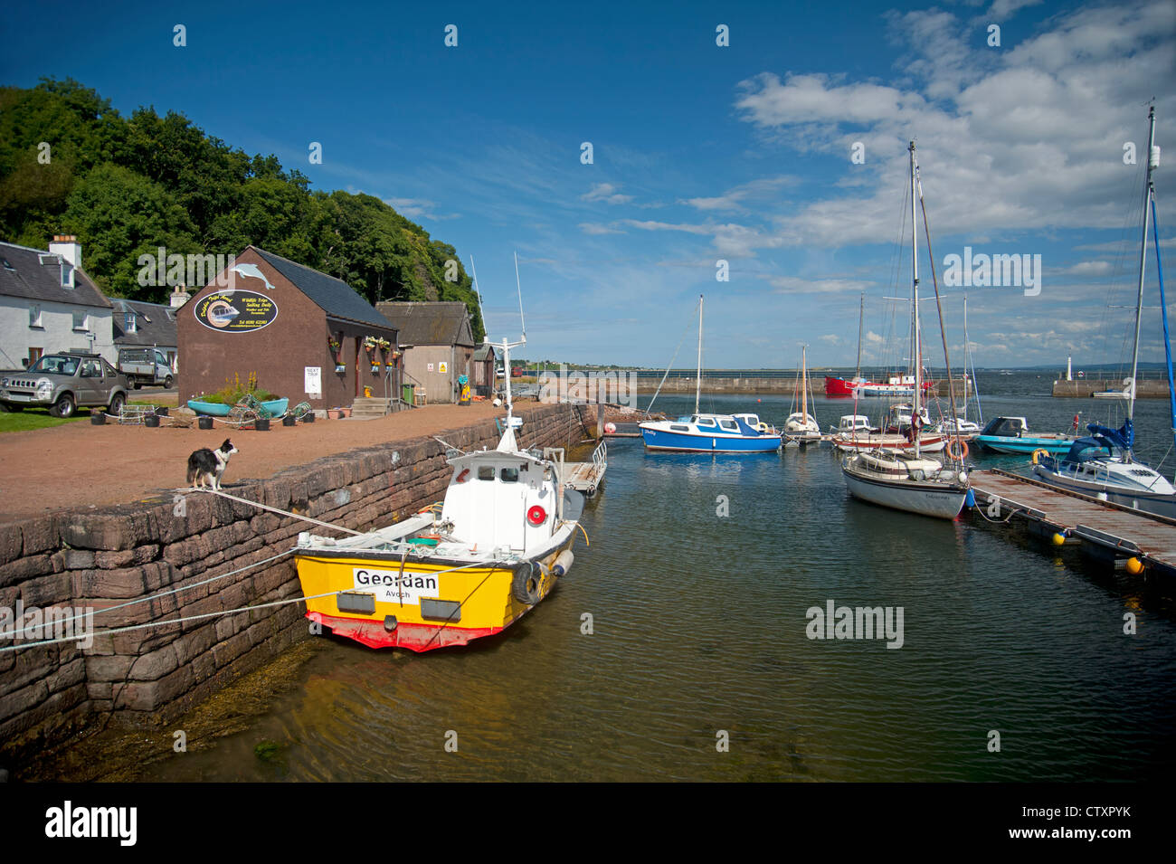 Avoch harbour on the Moray Firth offers dolphin watching boat trips.  SCO 8272 Stock Photo