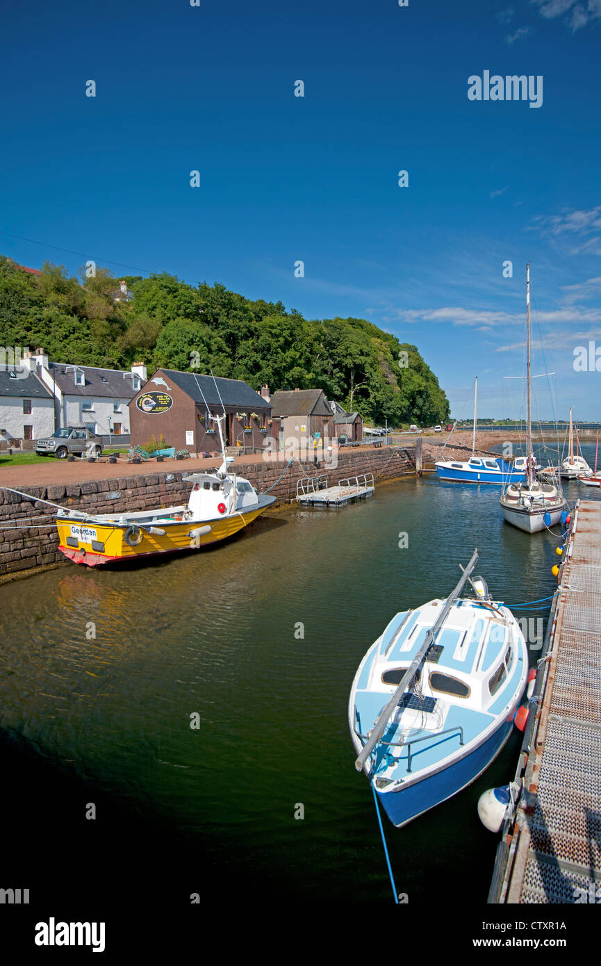 Avoch harbour on the Moray Firth offers dolphin watching boat trips. SCO 8275 Stock Photo