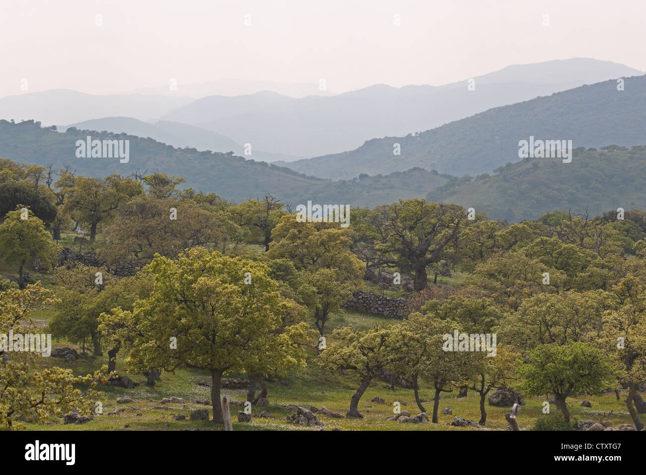 Napi valley hi-res stock photography and images - Alamy