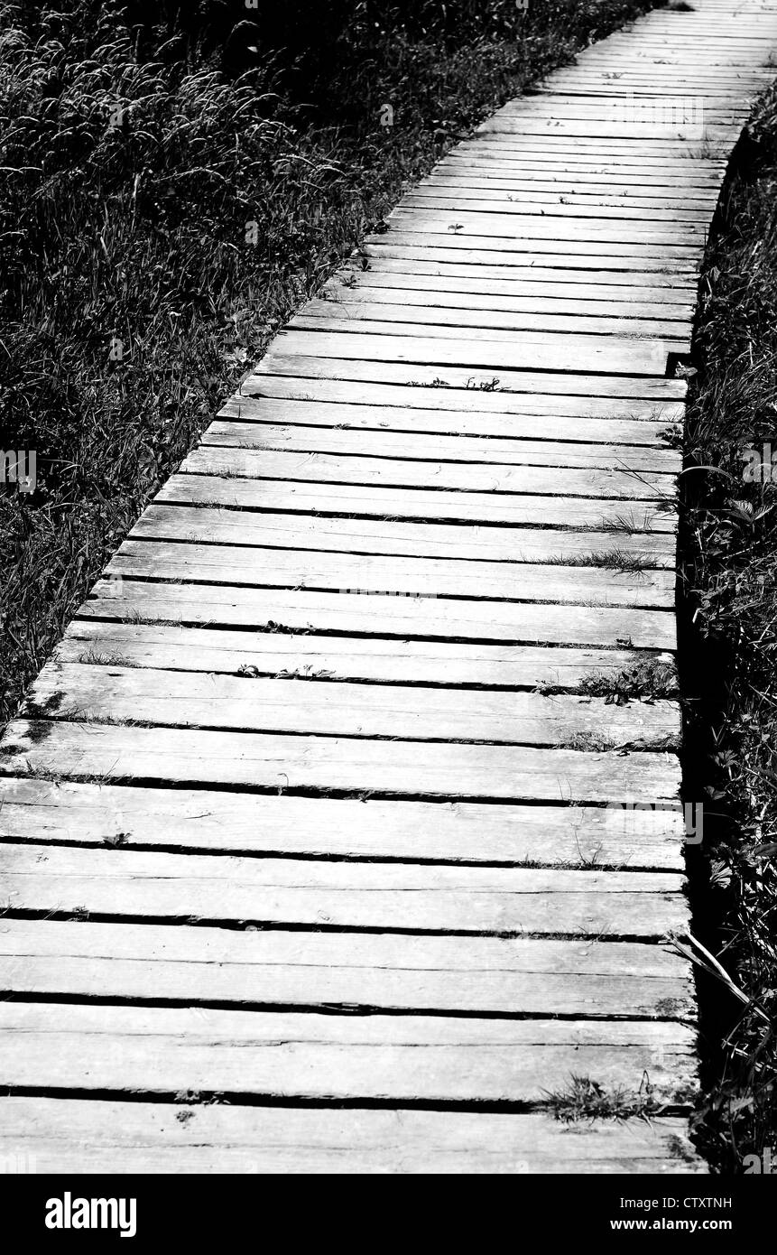Wooden pathway Cornwall UK Stock Photo