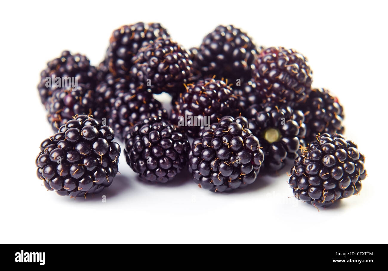 ripe blackberry isolated on a white background Stock Photo