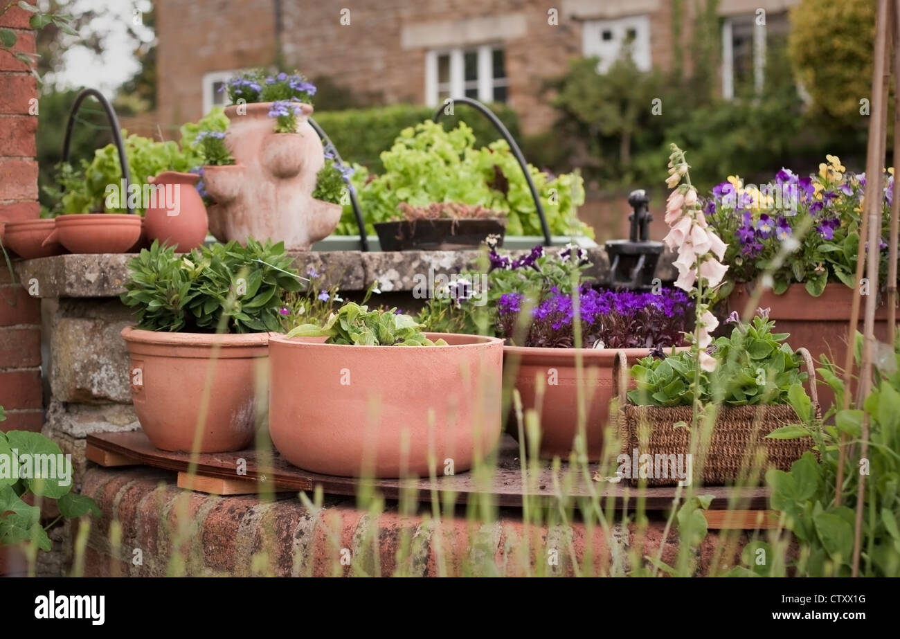 Terracotta Pots Uk High Resolution Stock Photography and Images Alamy