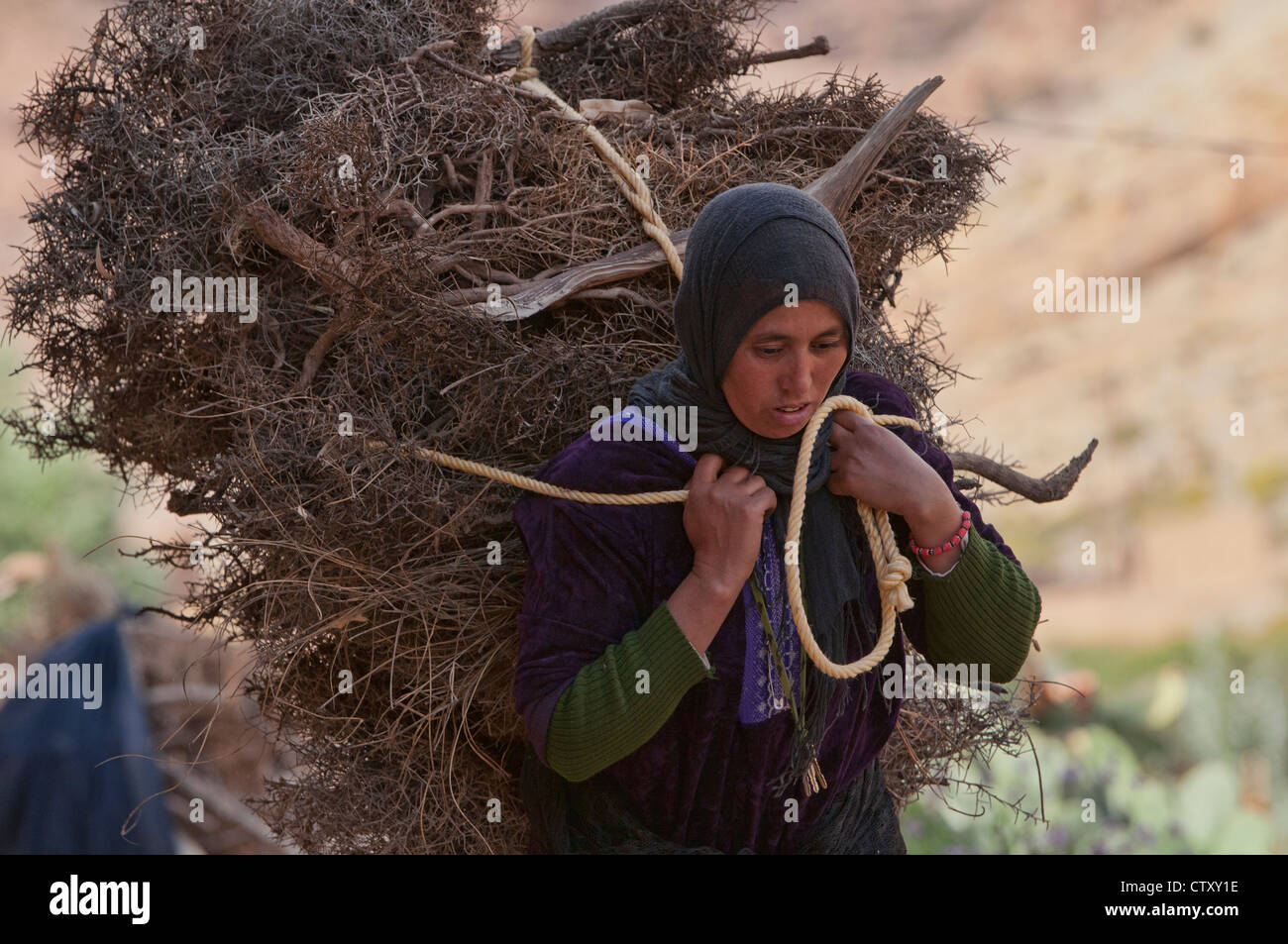 Berber woman carrying a load in the Southern Atlas Mountains, Morocco Stock Photo