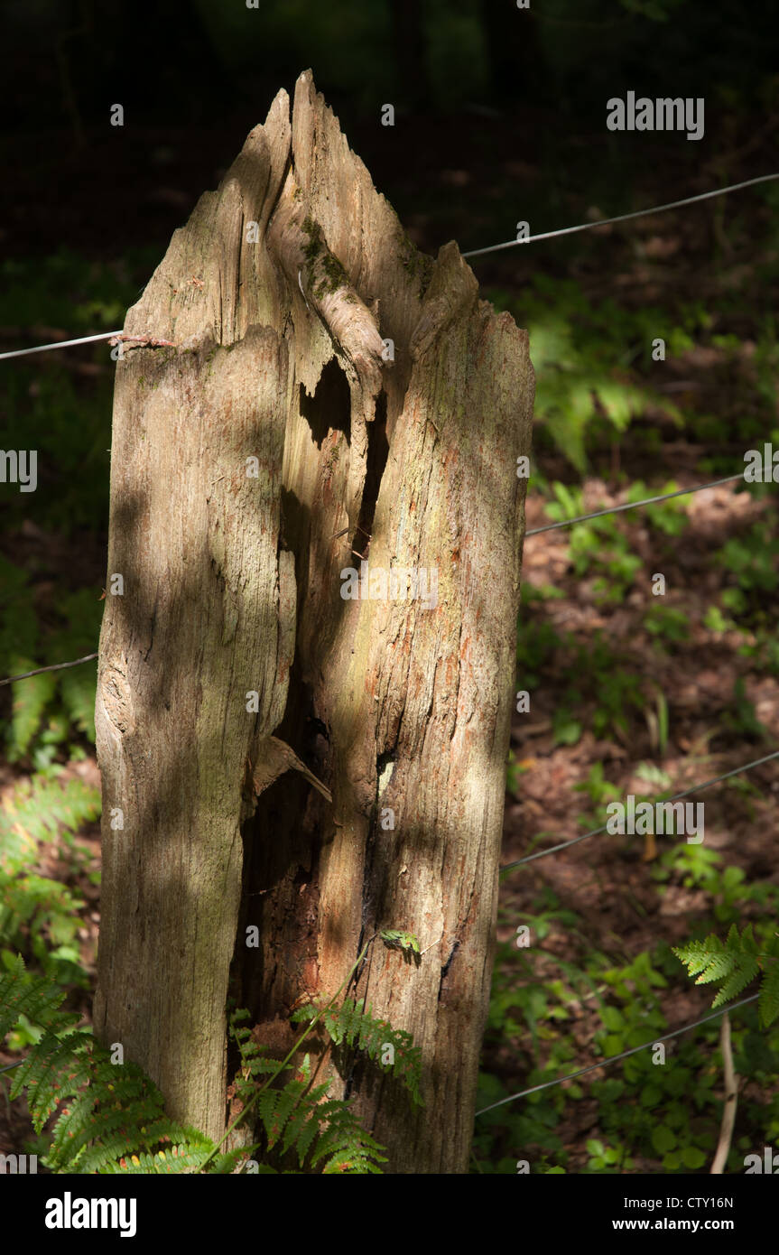 old wooden fence post Stock Photo Alamy