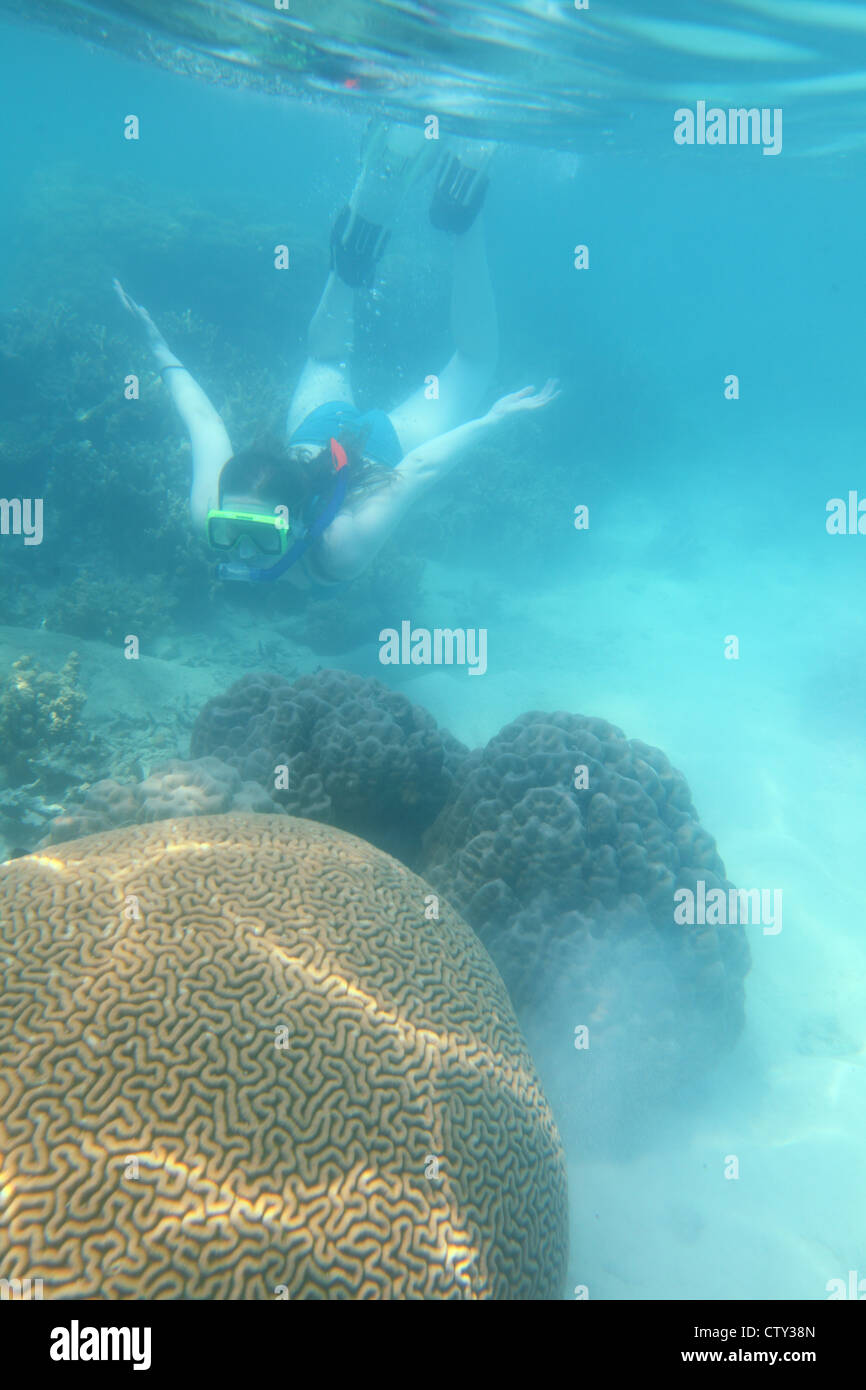 snorkeling underwater coral, Indonesia, Java sea, Kepulauan Seribu, Pulau Seribu, Thousand Islands Stock Photo