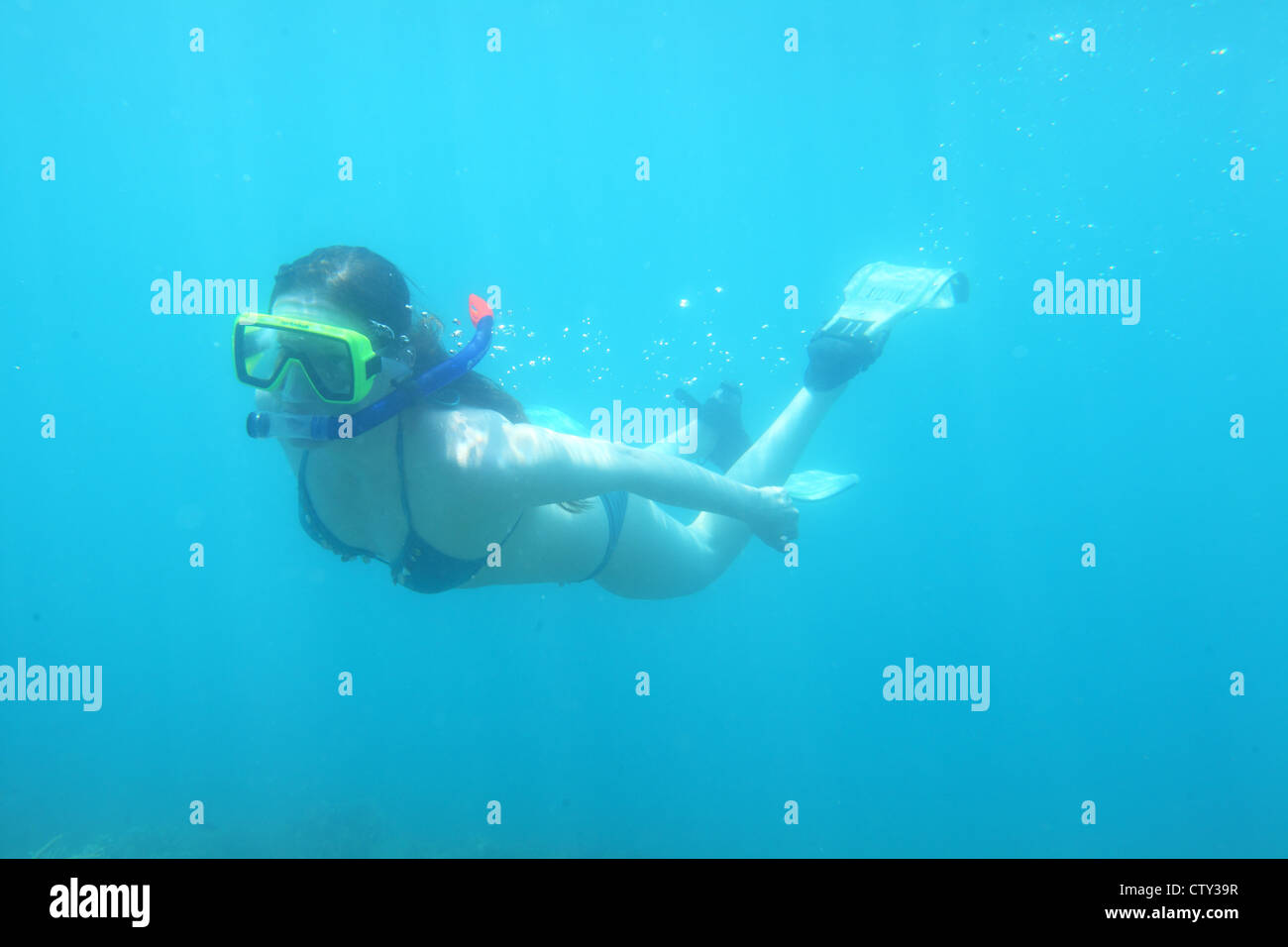snorkeling underwater coral, Indonesia, Java sea, Kepulauan Seribu, Pulau Seribu, Thousand Islands Stock Photo