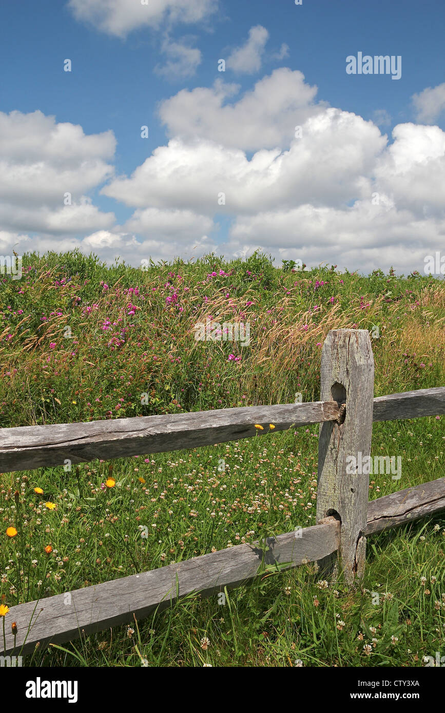 A split-rail fence at the edge of a field in summertime, Eastham, Cape Cod, Massachusetts Stock Photo
