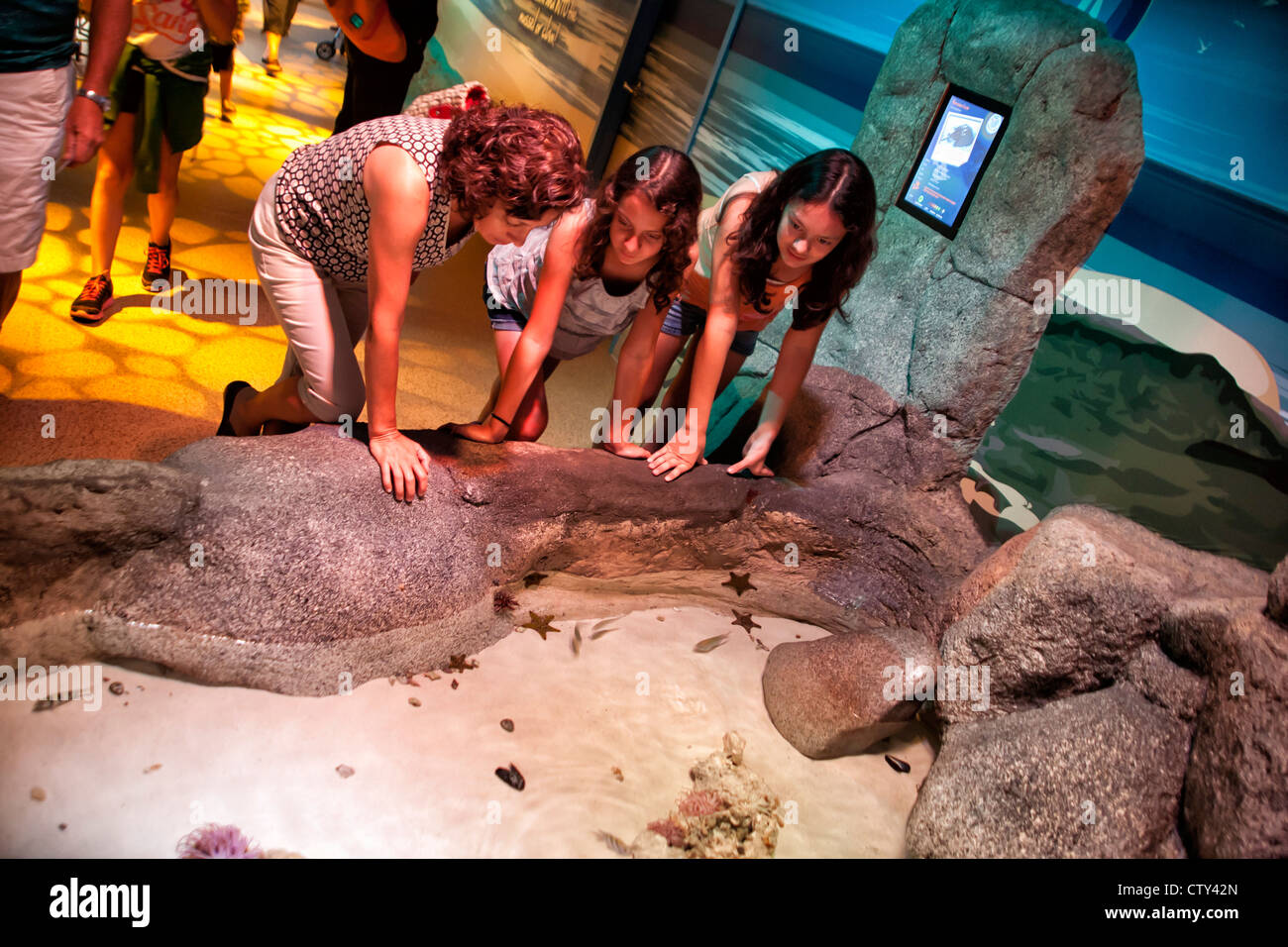 Sea Life Kansas City Aquarium Stock Photo Alamy