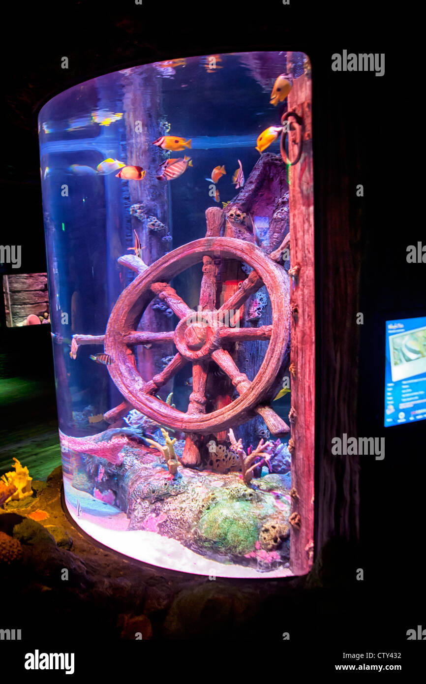 Kansas city sea life aquarium hires stock photography and images Alamy
