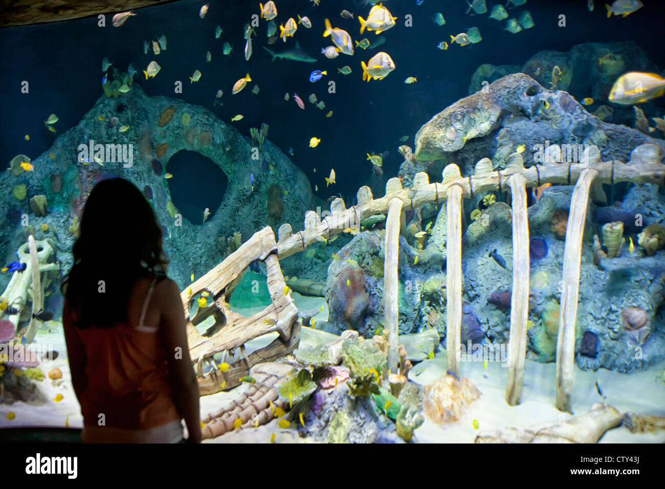 Sea Life Kansas City Aquarium Stock Photo Alamy