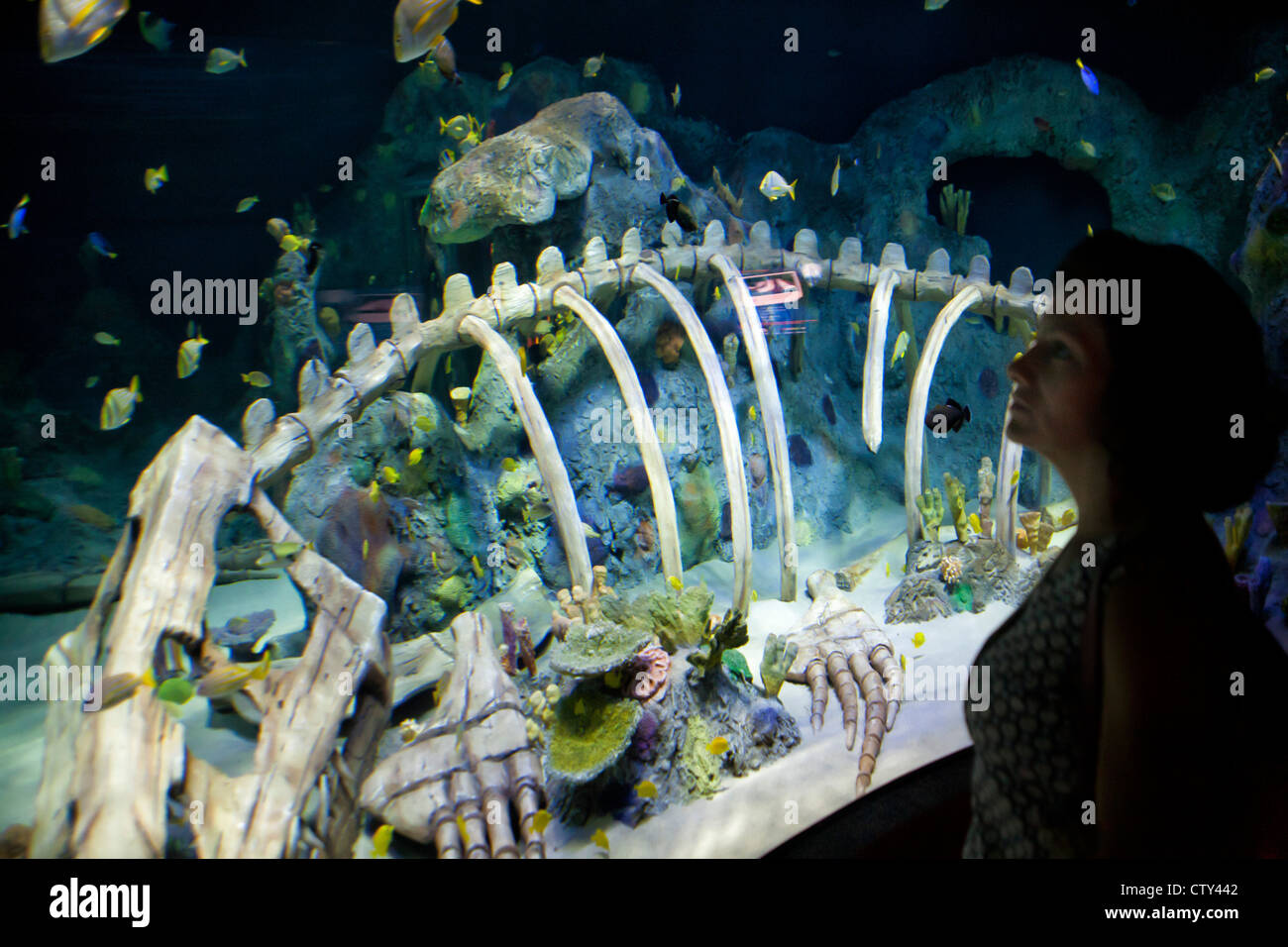 Sea Life Kansas City Aquarium Stock Photo Alamy
