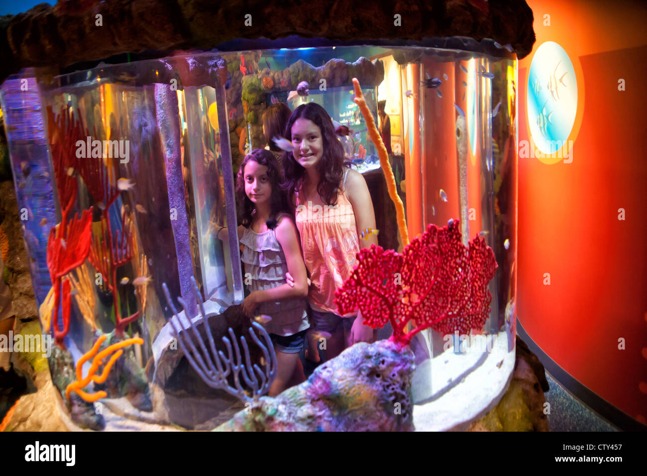Sea Life Kansas City Aquarium Stock Photo Alamy