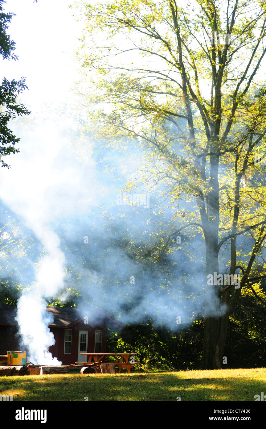 Unattended campfire in a forest camp site Stock Photo