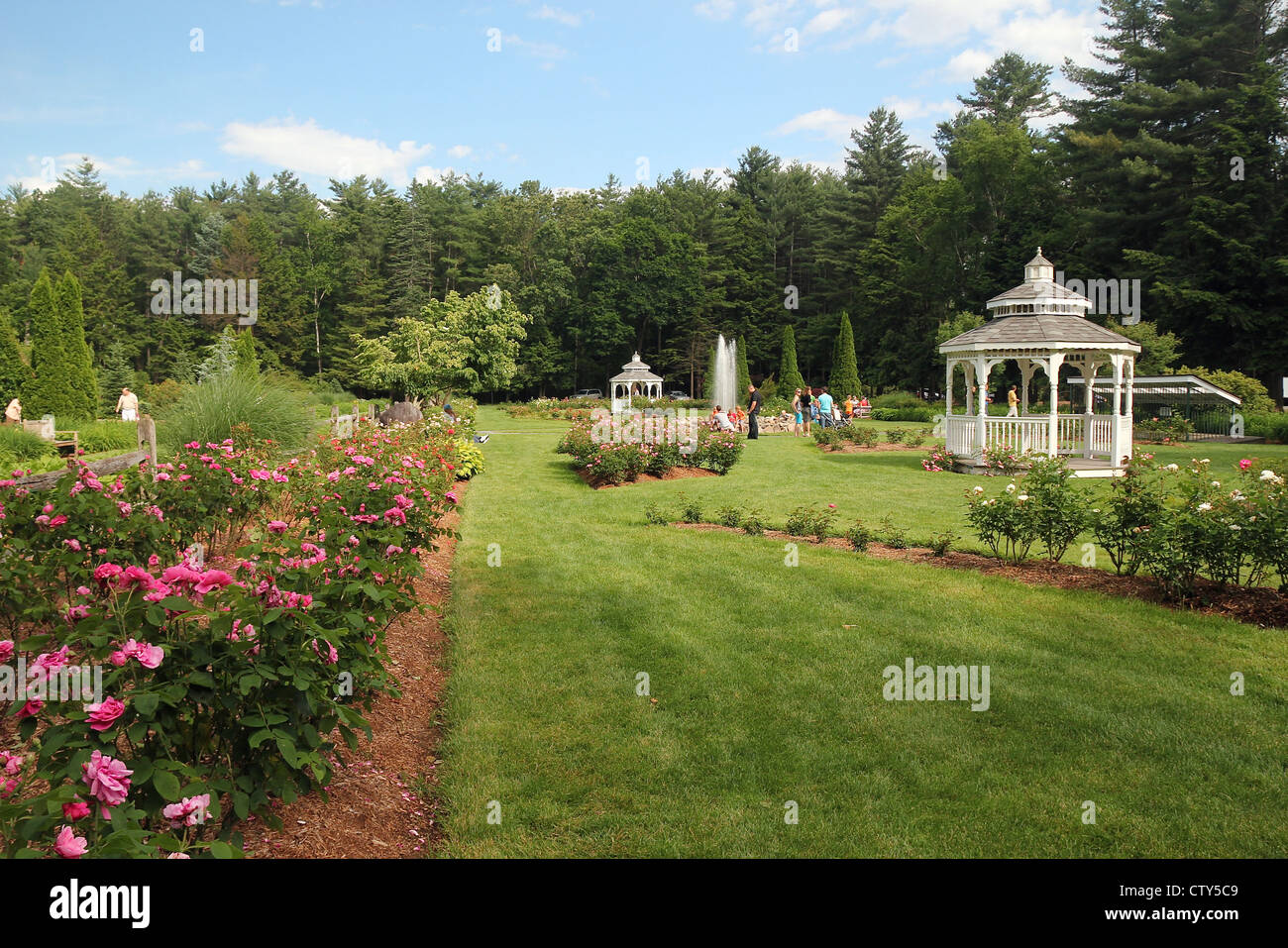 The rose garden at Stanley Park, Westfield, Massachusetts Stock Photo