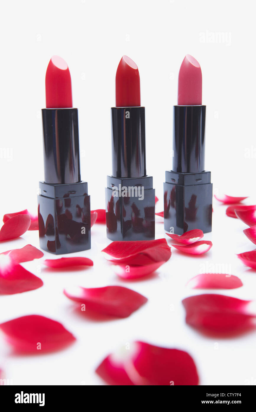 Red Lipstick And Rose Petal Stock Photo 49771096 Alamy