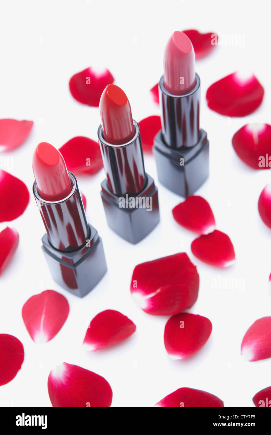 Red lipstick and rose petal Stock Photo