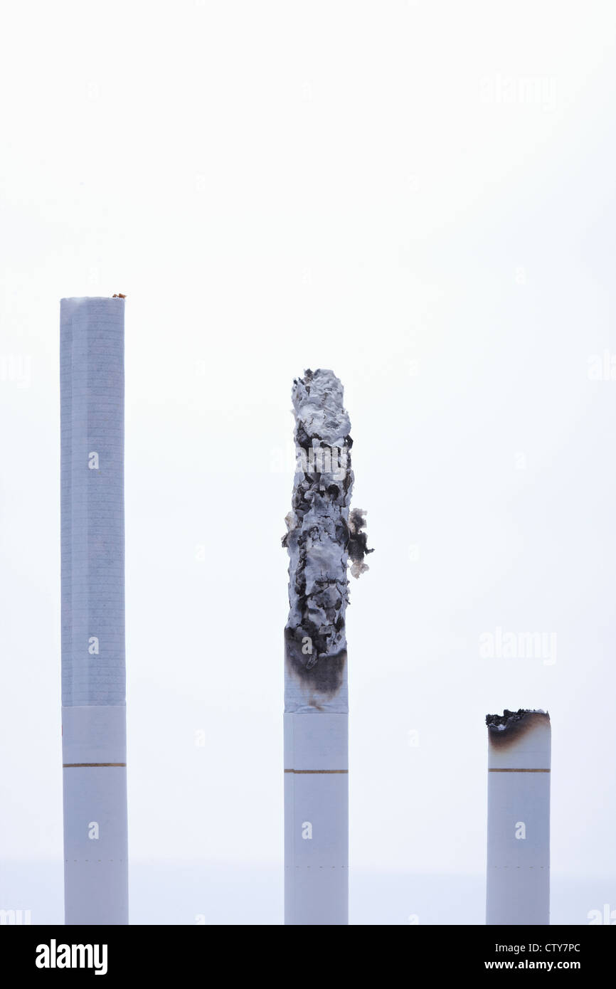 A long cigarette and shorter cigarettes Stock Photo Alamy