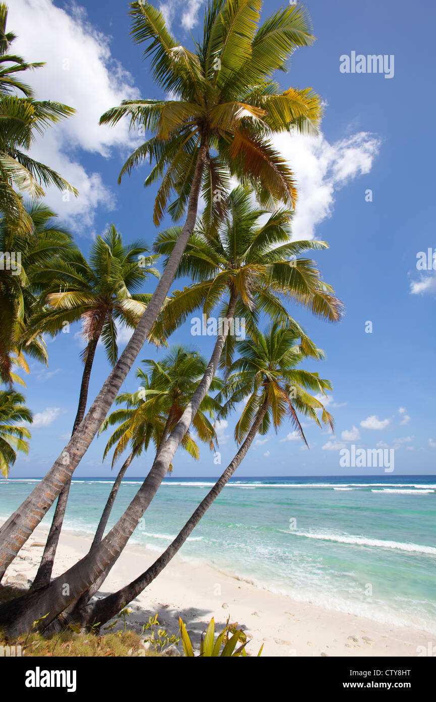 dream beach on a lonely island in the indian ocean Stock Photo