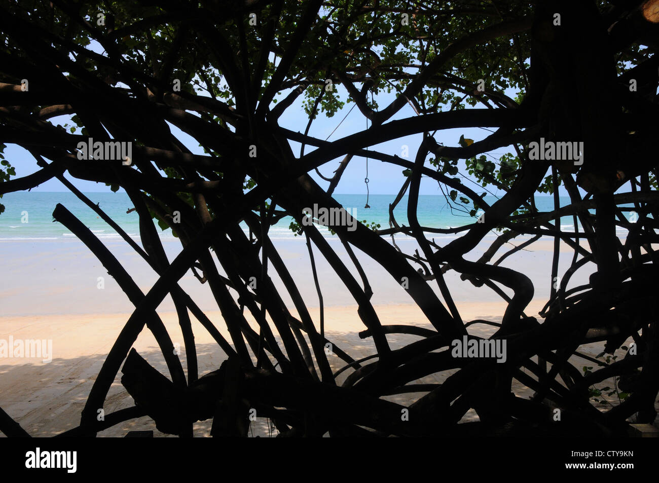Black, twisted, silhouetted branches, and knotted rope, in front of golden sand and azure sea and blue sky, Koh Sumet, Thailand. Stock Photo