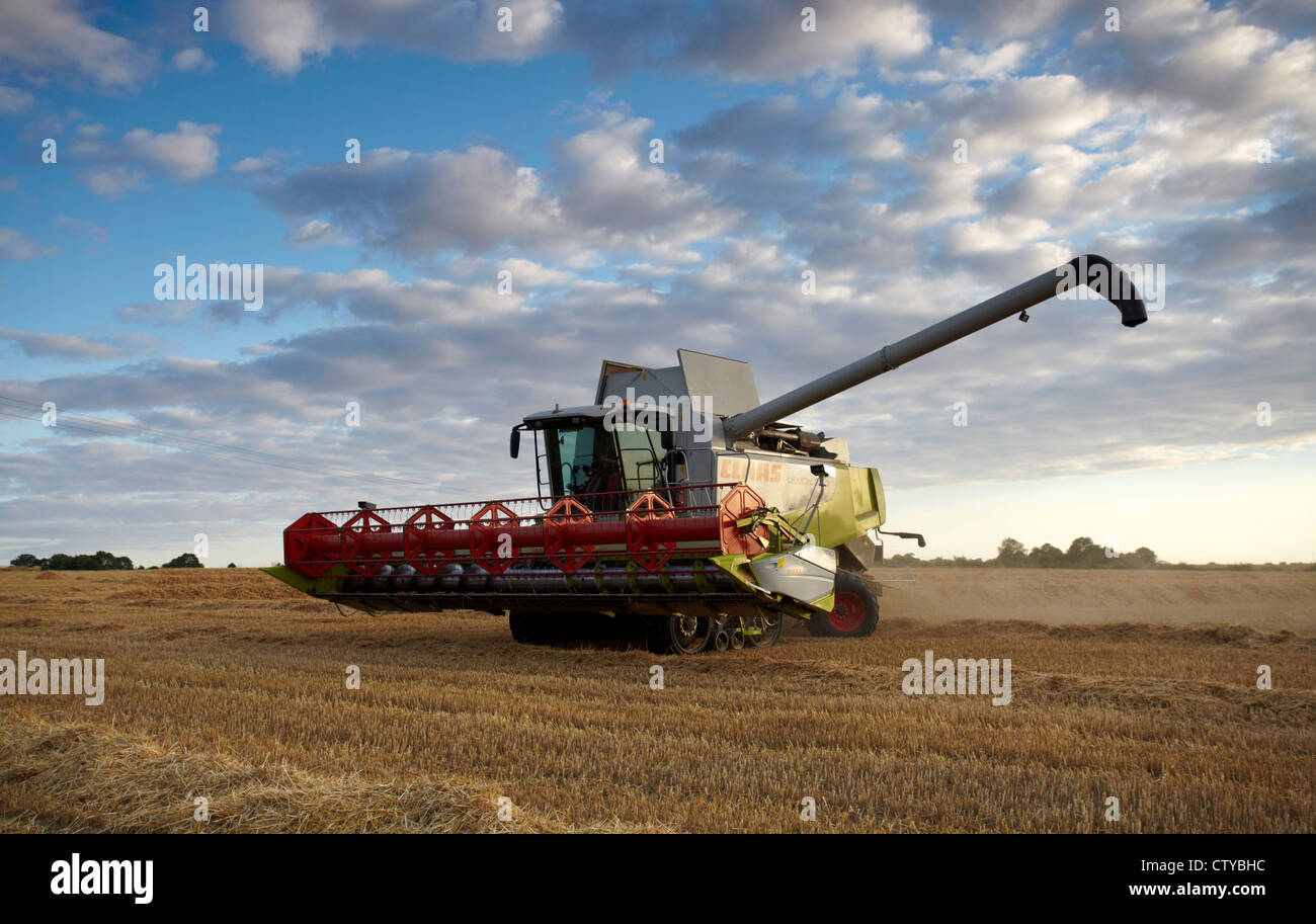 Claas combine harvesting barley Stock Photo