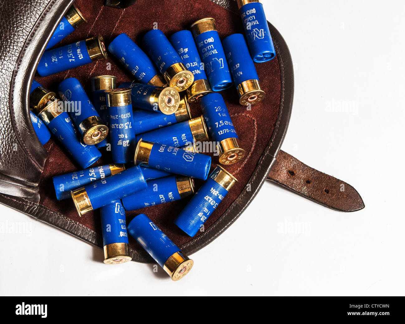 Twelve bore, or twelve gauge, shot gun cartridges in leather cartridge