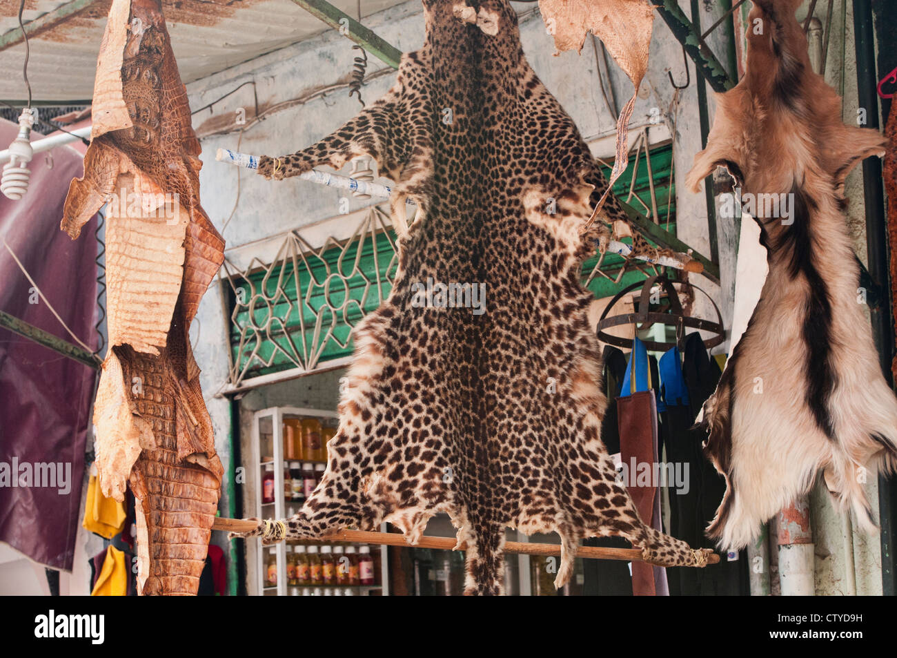 leopard pelt for sale in the ancient medina in Marrakech, Morocco Stock Photo