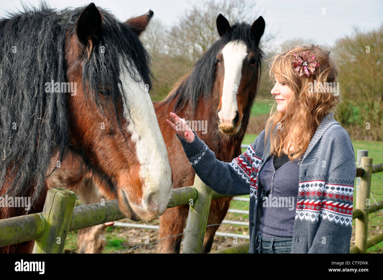 Hand Stroking Horses Head Stock Photos Hand Stroking Horses Head