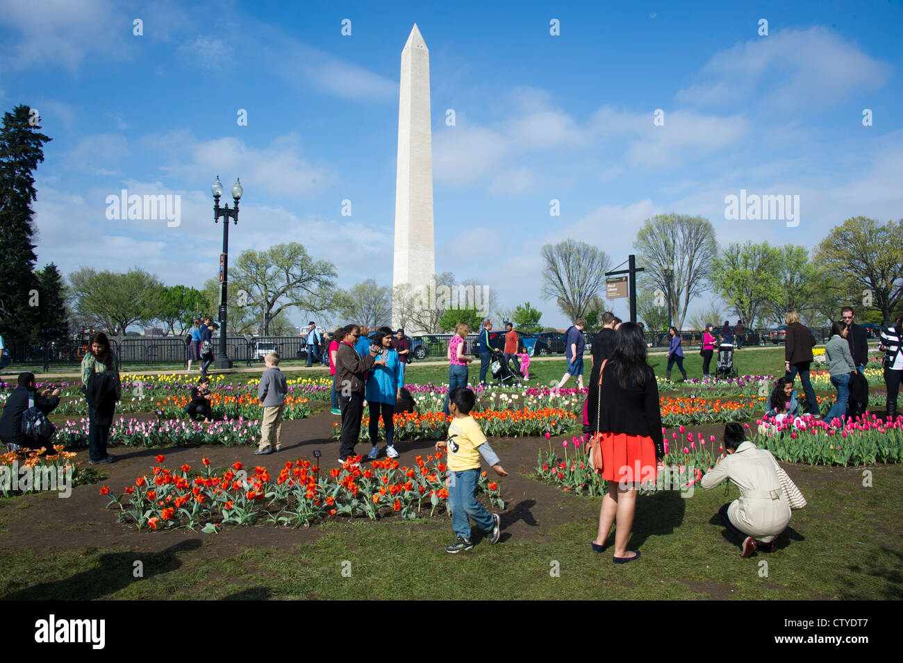 Tulip garden and Washington Monument Washington, DC Stock Photo Alamy