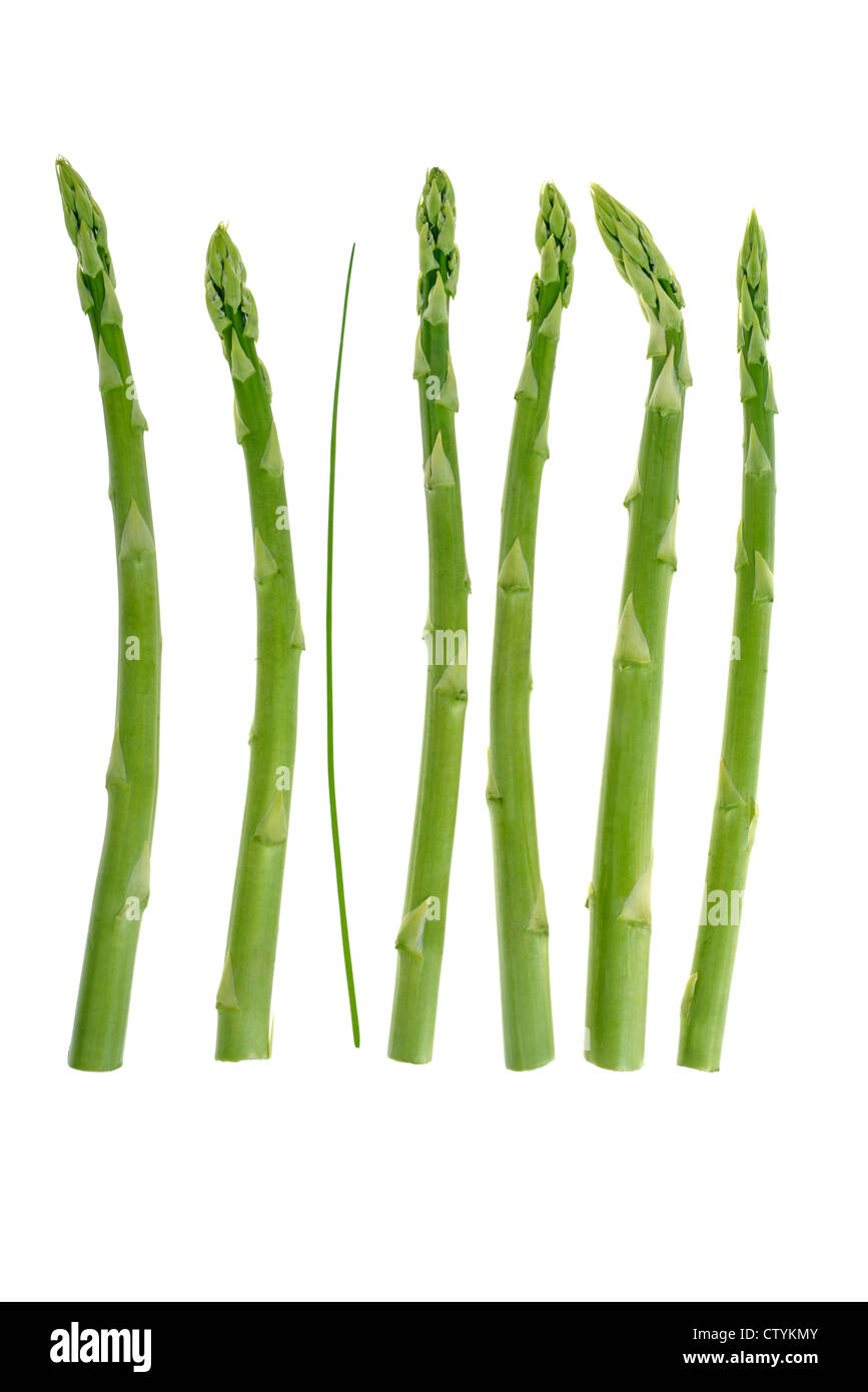 green asparagus, isolated on 100 percent white background Stock Photo