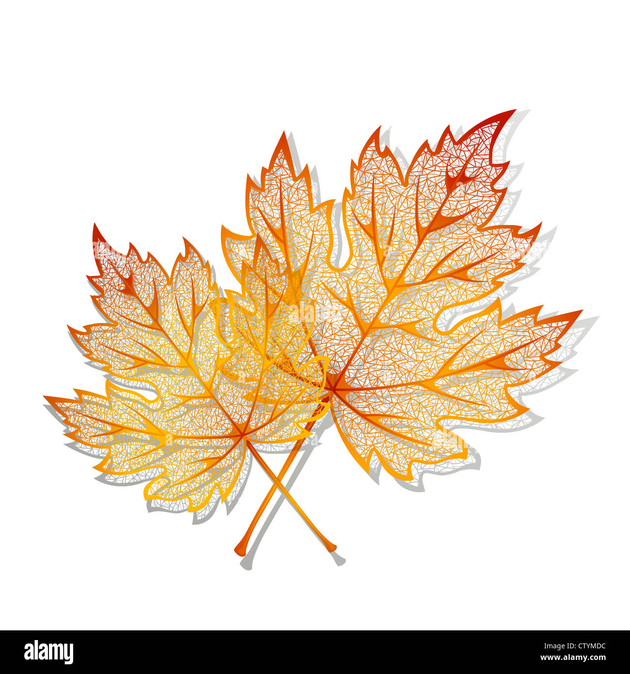 Autumn background with maple leaves Stock Photo - Alamy