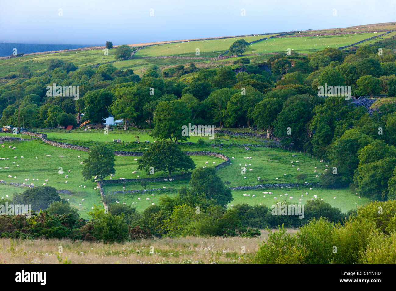 Rolling landscape near Bettws Garmon, Snowdonia National Park, Wales Stock Photo