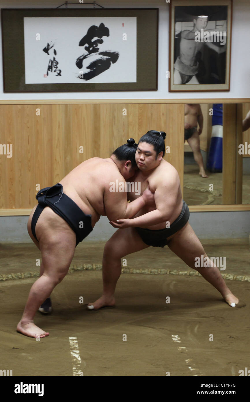 Sumo wrestlers in Japan during a fight Stock Photo