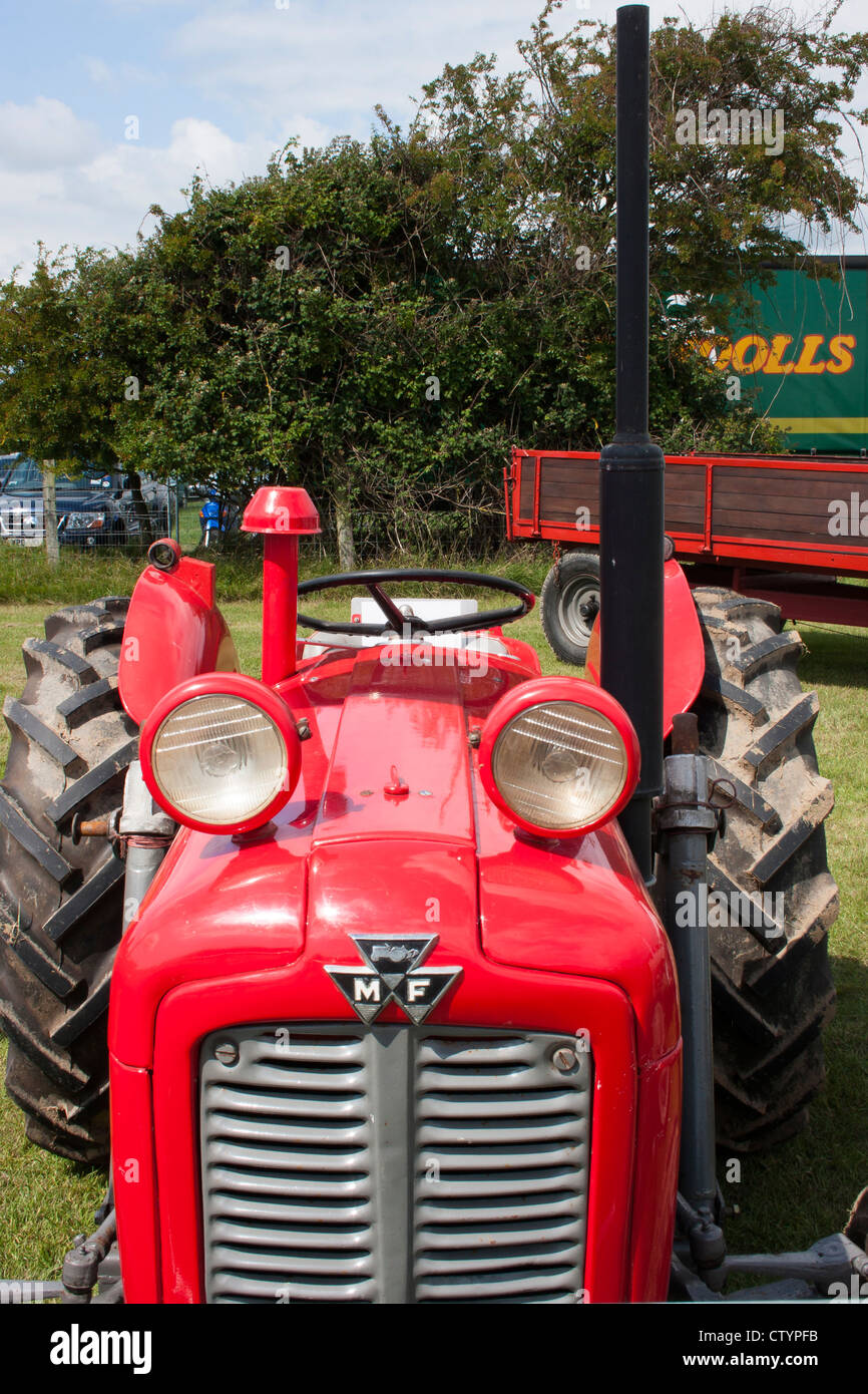 Vintage red Massey Ferguson tractor at show Stock Photo