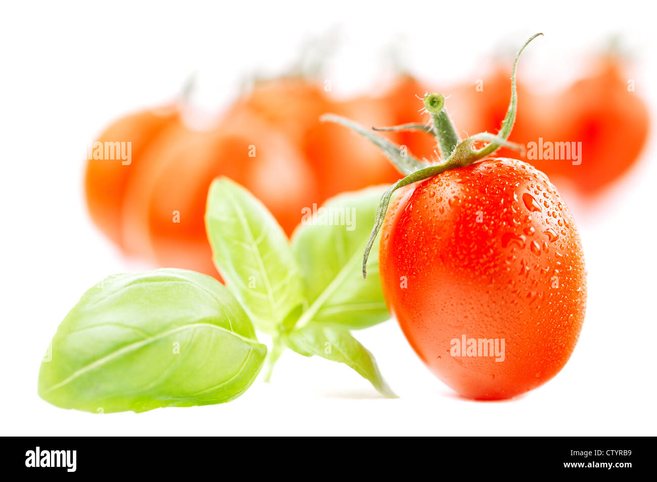 cherry tomato with basil leaves on white background with little shadow ...
