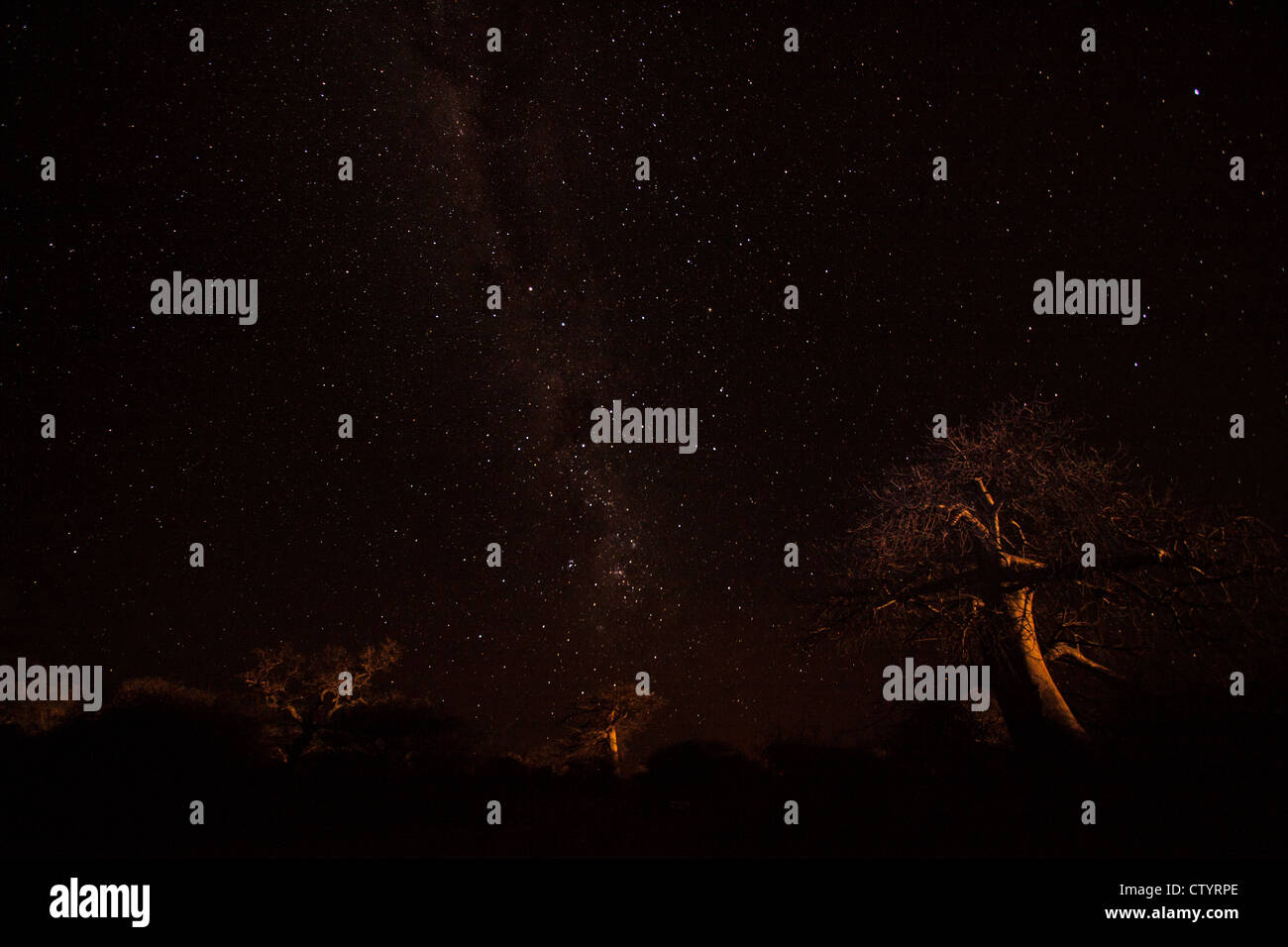 Night sky in africa Stock Photo - Alamy