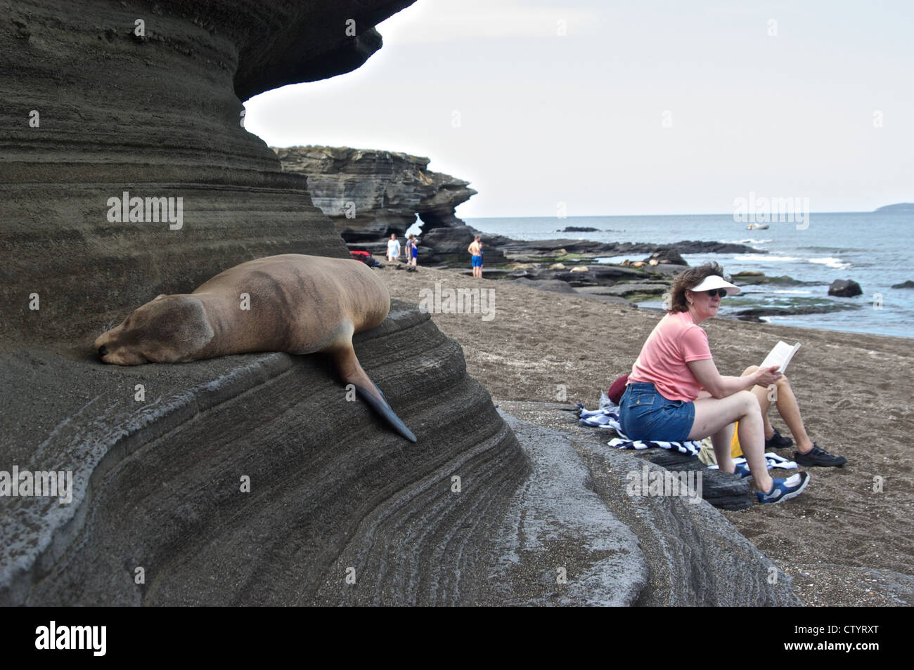 Tourists chilling on the shore close to sea lions. Galapagos, Ecuador. Stock Photo