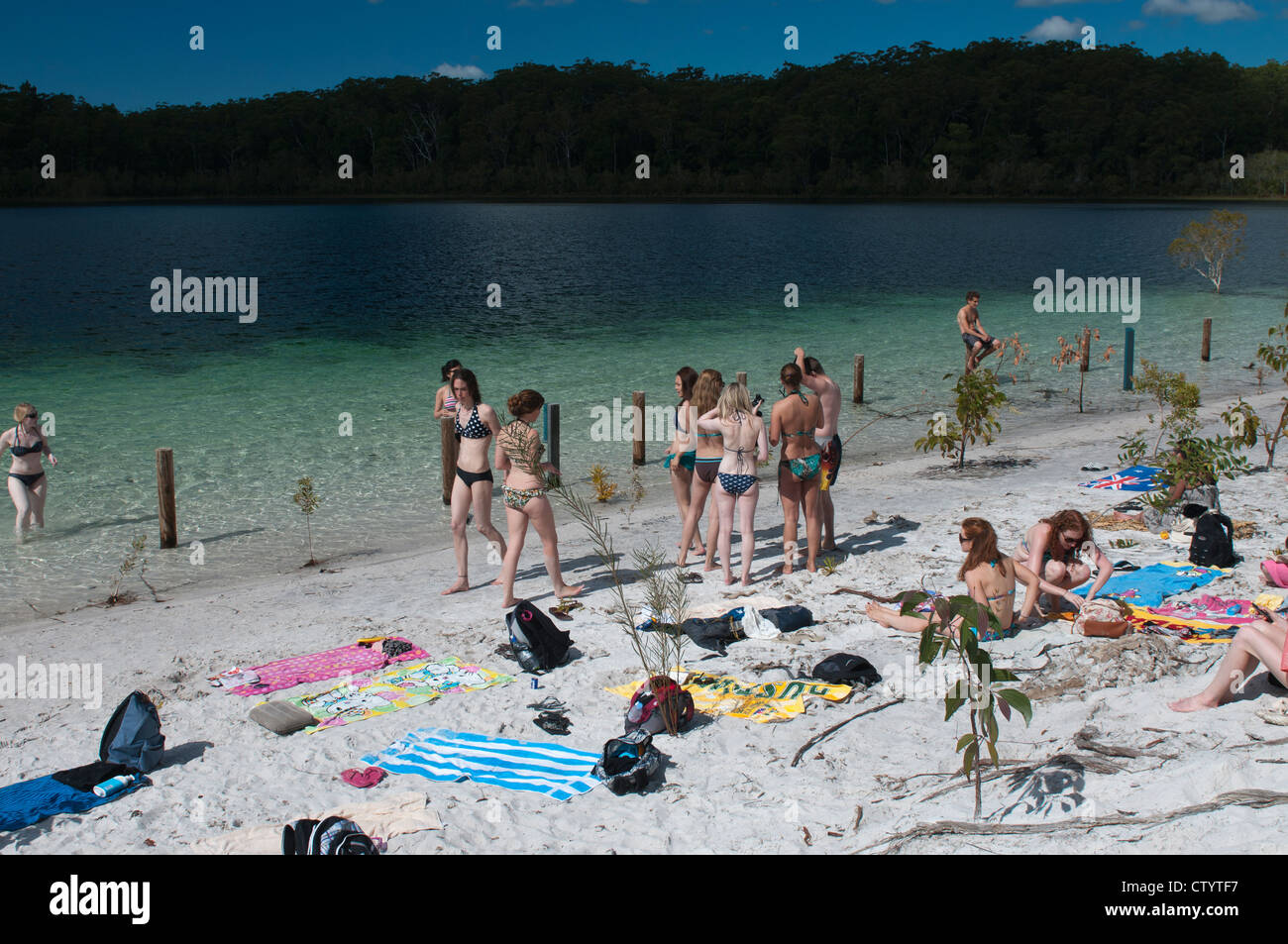 Young backpackers sunbathing and swimming at Lake Mckenzie. Stock Photo