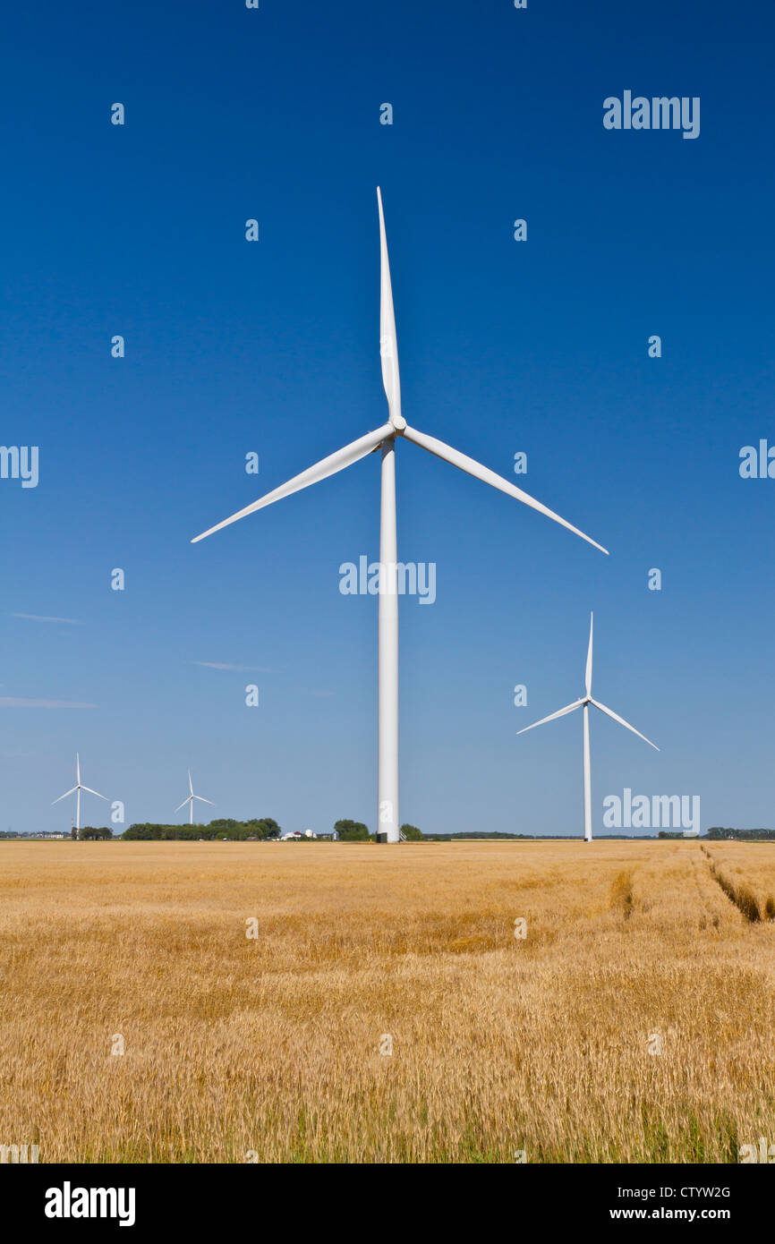 Windmills at the St. Joseph wind farm near Altona, Manitoba, Canada. Stock Photo